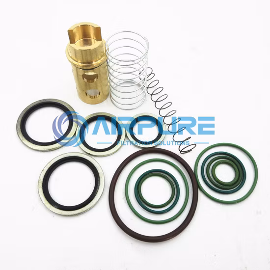 High Performance 9211107p Replace Air Compressor Repair Kit (2901051100) (2901195200)