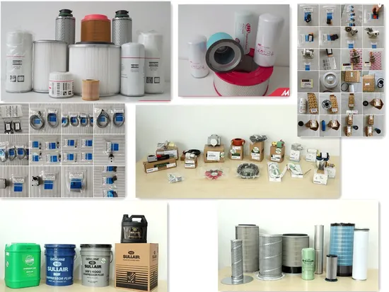 Parte del compressore d'aria a vite per Atlas Copco Ingersoll Rand Sullair