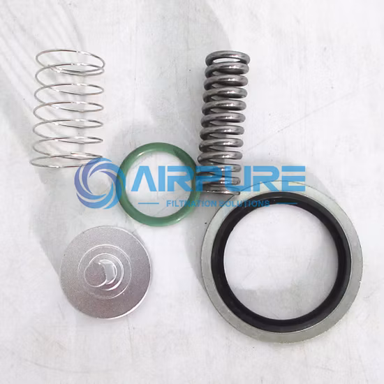 9211107p ad alte prestazioni sostituisce il kit di riparazione del compressore d'aria (2901051100) (2901195200)