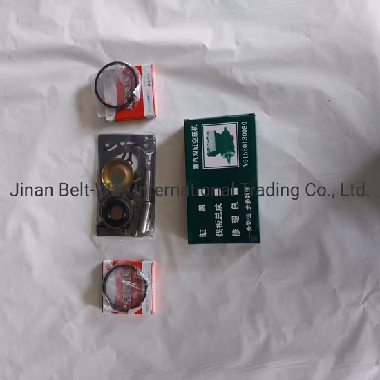 Sinotruk WHOO parte il kit di riparazione del compressore d'aria dei pezzi di ricambio del camion delle parti del camion Vg1560130080